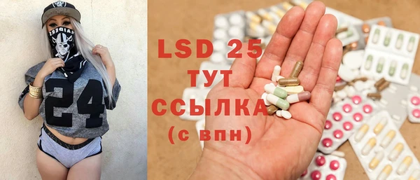 ПСИЛОЦИБИНОВЫЕ ГРИБЫ Няндома