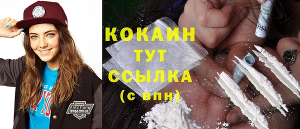 сатива Нягань