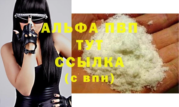 ПСИЛОЦИБИНОВЫЕ ГРИБЫ Няндома