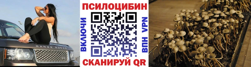 Псилоцибиновые грибы GOLDEN TEACHER  Миллерово 